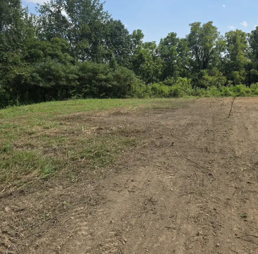 Fence Clearing job by Pistol Ridge Land Services