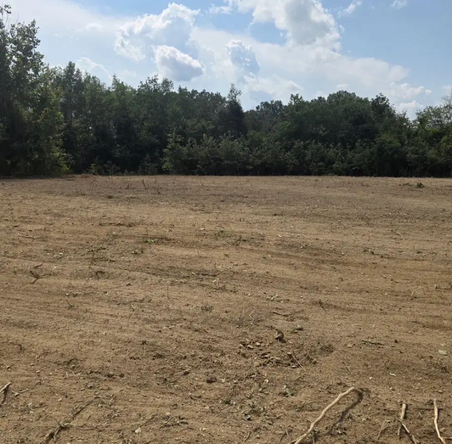 Cleared field edge along a fence line