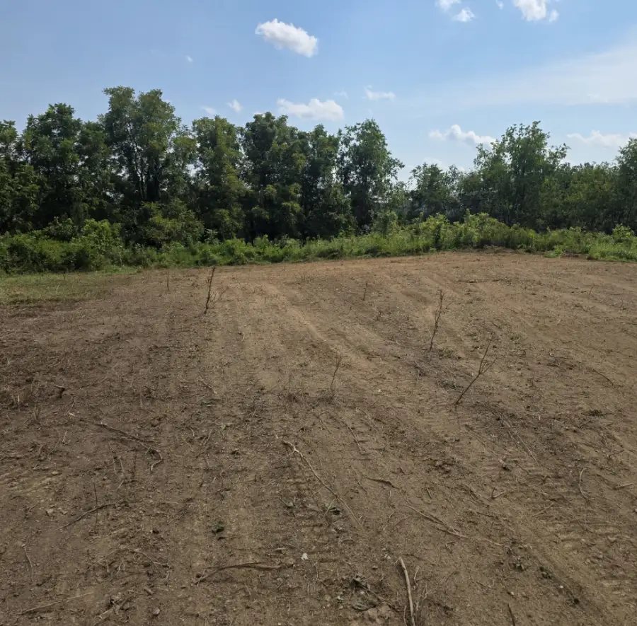 Cleared field running out to a tree line