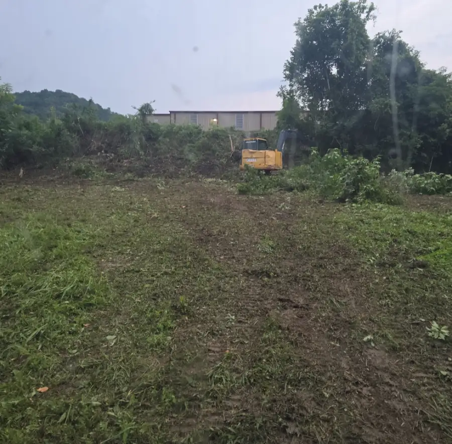 Land Clearing job by Pistol Ridge Land Services